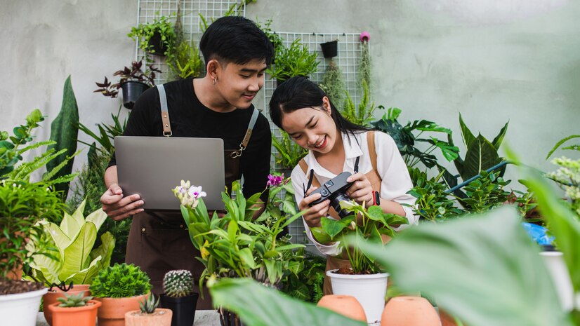 Rural Marketing: How to Market Your Business in Rural Areas in Australia